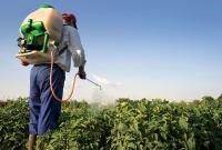 Швейцария может запретить использование пестицидов