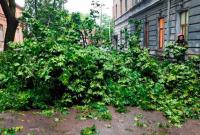 Грозовые дожди распространятся почти по всей Украине: какой сегодня будет погода