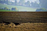 В Украине более 6 миллионов гектаров сельхозземель нуждаются в консервации - Минагро
