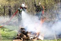 На выходные по Украине объявили чрезвычайный уровень пожарной опасности