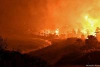 В Греции сотни спасателей тушат лесной пожар: почти 20 поселков эвакуировали