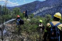 Греция: лесной пожар под Афинами почти под контролем