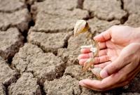 Изменения глобального климата влияют на увеличение засухи в Украине