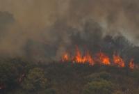 Лісові пожежі в Іспанії: евакуювали понад 900 людей, є загиблий