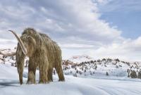 Ученые хотят "оживить" шерстистого мамонта: говорят, что они остановят глобальное потепление
