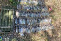 Спрятали для диверсии: в Луганской области обнаружили два схрона со взрывчаткой и минами