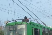 В Харькове парень на крыше троллейбуса устроил концерт. Полиция открыла дело