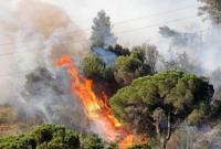 В Испании из-за умышленного поджога горят леса: уничтожено 1000 гектаров