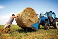 Одно фермерское хозяйство может получить до 5 миллионов компенсации за год - Минагро