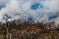 Лесные пожары изменили карту загрязнения зоны ЧАЭС - экологи
