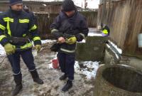 В Житомирской области мужчина утонул в колодце в собственном дворе