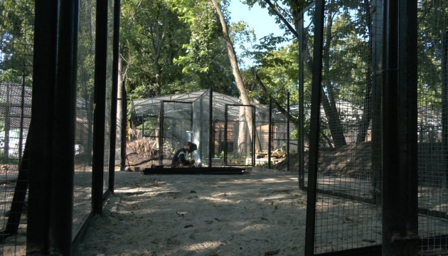 В черкасском зоопарке строят городок для эвакуированных животных