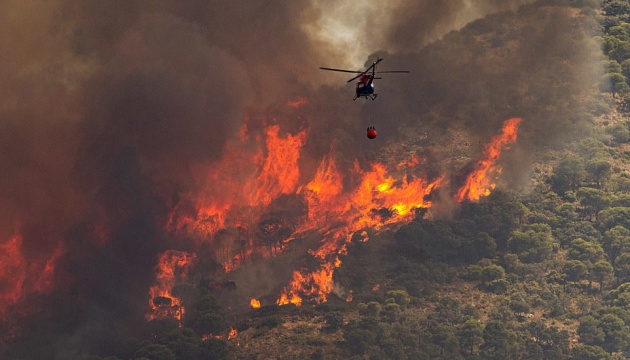 Во Франции из-за лесных пожаров эвакуировали тысячи человек
