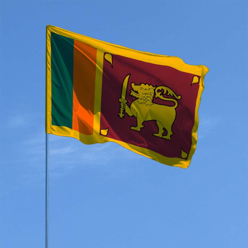 Митингующие на Шри-Ланке подожгли дом премьера