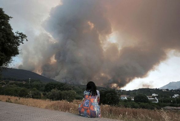 В Испании и Португалии более 1000 человек погибли от изнуряющей жары
