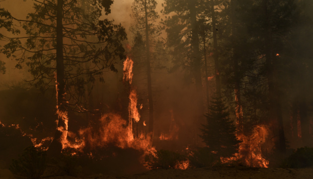 Лесной пожар в Калифорнии: количество жертв возросло до четырех