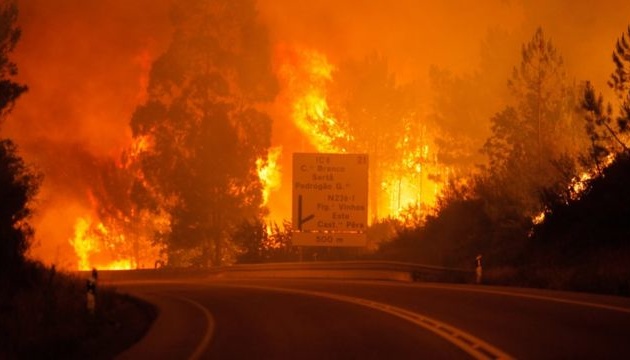 Возле Лиссабона бушует масштабный лесной пожар