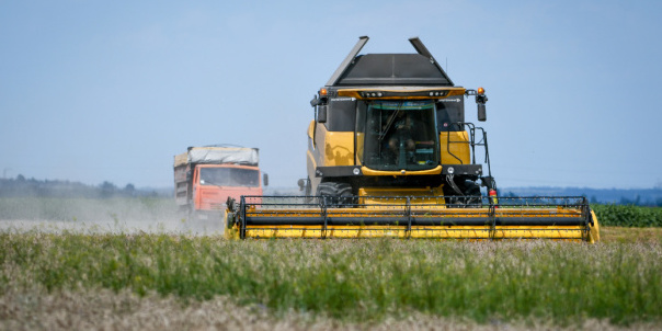 Война может лишить мир трех урожаев украинской пшеницы - Минагрополитики