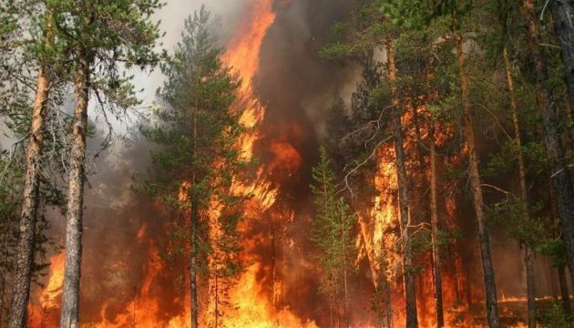 На Херсонщине горят леса - под угрозой населенные пункты