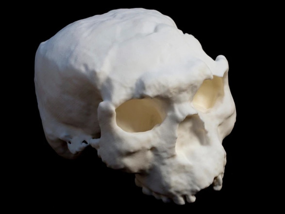 В Китае нашли череп старше миллиона лет