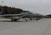Еще 8 американских истребителей F-15 приземлились в Польше - Минобороны