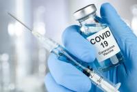 В Японии работают над вакциной от COVID-19, которая должна обеспечить "пожизненный иммунитет"