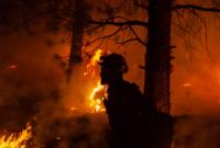 Байден одобрил объявление чрезвычайного положения в Колорадо из-за лесных пожаров