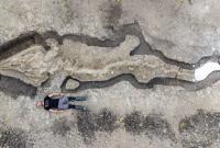 В Великобритании обнаружили скелет огромного "морского дракона"
