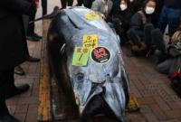 В Японии на аукционе продали огромную рыбу почти за 150 тысяч долларов