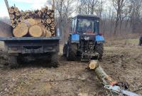 На Буковині викрили 4 буковинців, які незаконно вирубували дерева