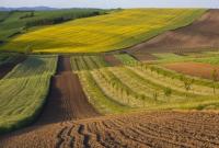 Українці продали майже 200 тисяч гектарів землі