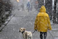 Мокрый снег и гололедица: украинцев предупредили об ухудшении погоды