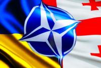 Посол Грузии в НАТО: Грузия и Украина сидят в одной лодке