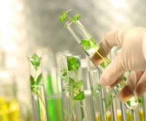 Натуральные источники энергии вместо энергетиков
