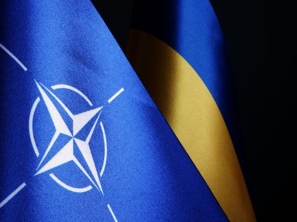 Формально вступление Украины в НАТО поддерживает уже 20 стран-членов Альянса - ОП