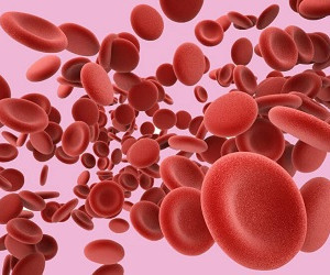 Густая кровь: топ-8 продуктов для разжижения крови