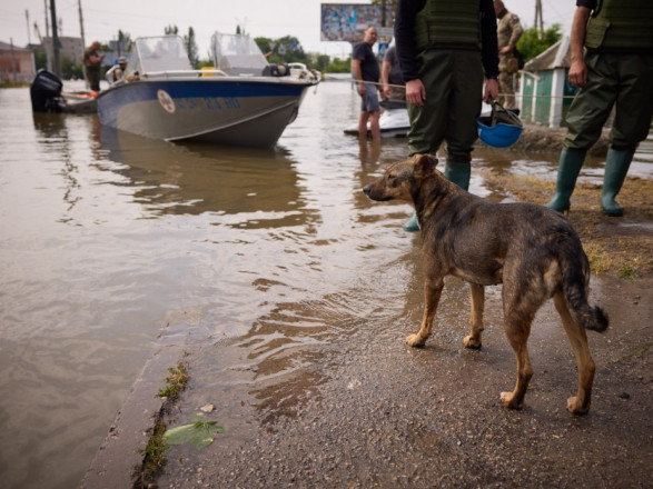 Вода на Херсонщине отступает: за ночь уровень подтопления упал до двух метров
