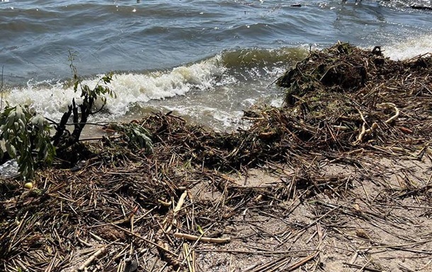 У Одессы зафиксировано опреснение моря - экологи