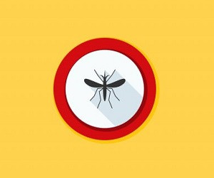 14 средств, которые снимут зуд от комариных укусов