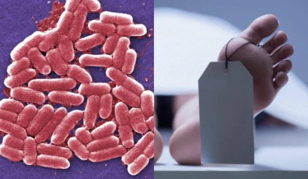 В Японии распространяются плотоядные бактерии, способные убить за два дня, - Bloomberg