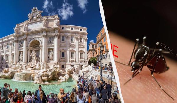 Европу атакуют опасные комары, разносящие лихорадку денге: как туристам защитить себя