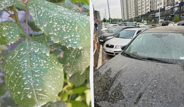 В Украине выпал "грязный" дождь с пылью из Сахары: несет ли он опасност