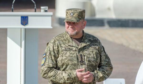 Залужный считает, что беспилотники помогут Украине выйти из позиционной войны