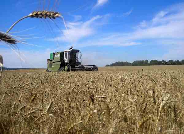 Фермеры в ЕС восстали против украинской аграрки: требуют ограничить торговлю, – Bloomberg
