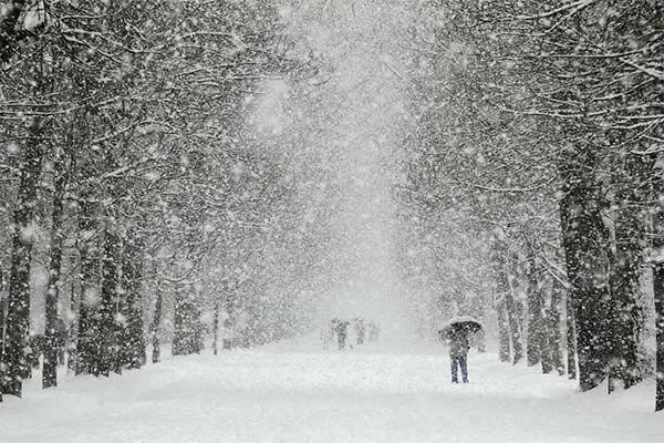 Сегодня по всей Украине ожидается сложная погода со снегом и сильным ветром