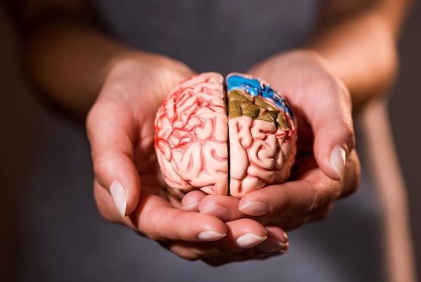 Сотрясение мозга: как распознать и что сделать