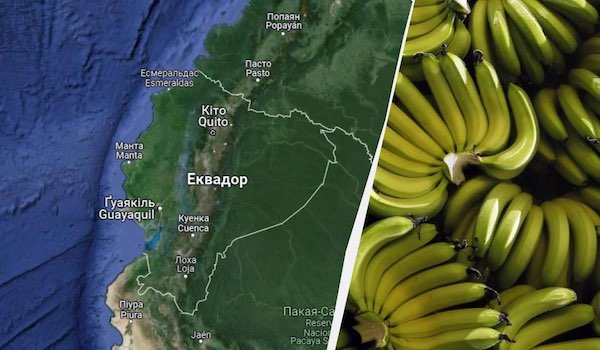 "Банановая война" с РФ: Эквадор отказался передавать Украине оружие