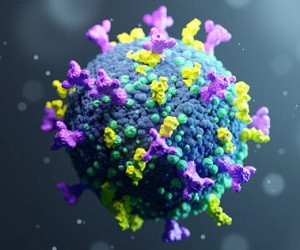 Исследование: коронавирус может наносить вред носителю даже после своей гибели