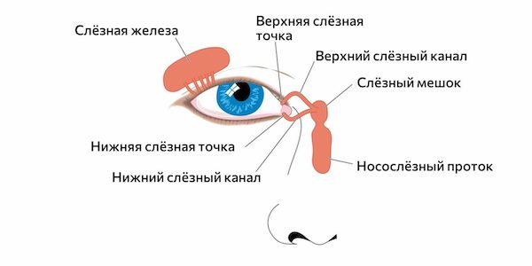 Почему слезятся глаза и что с этим делать и как избежать