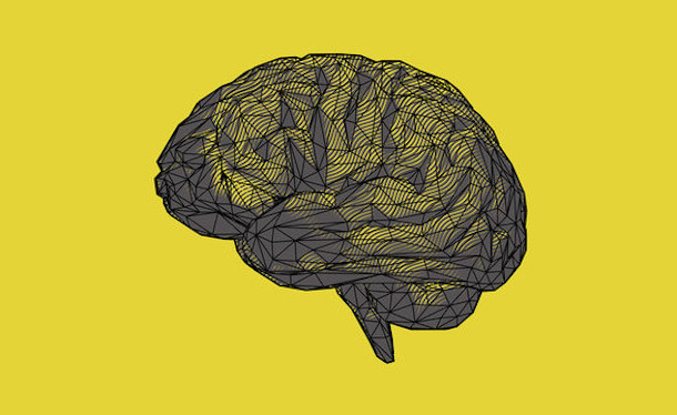 Человеческий мозг никогда не взрослеет по-настоящему: новое исследование ученых
